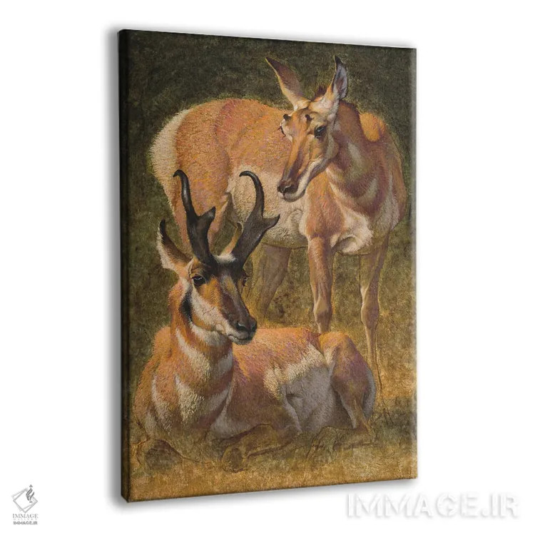 تابلو دکوراتیو آهوی شاخ شاخه اثر ازرا تاکر - نمای پرسپکتیو محصول