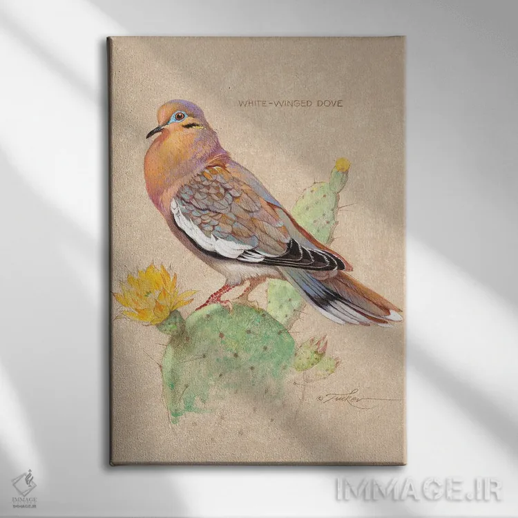 تابلو دکوراتیو قمری سفیدبال روی کاکتوس اثر ازرا تاکر - نمای روبهرو روی دیوار