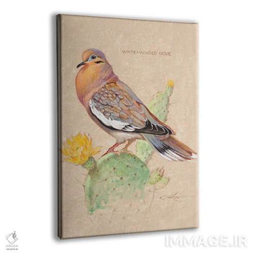 تابلو دکوراتیو قمری سفیدبال روی کاکتوس اثر ازرا تاکر - نمای پرسپکتیو محصول