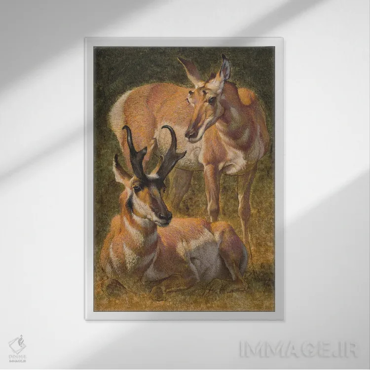 تابلو دکوراتیو آهوی شاخ شاخه اثر ازرا تاکر - نمای قابدار سفید