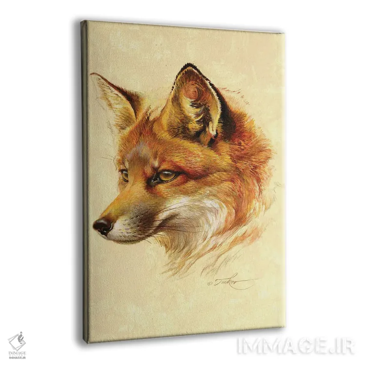 تابلو دکوراتیو پرتره روباه قرمز اثر ازرا تاکر - نمای پرسپکتیو محصول