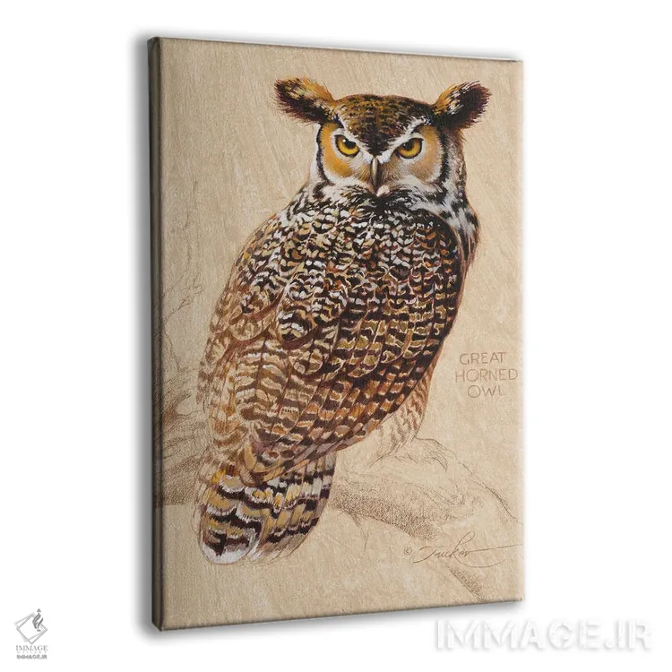 تابلو دکوراتیو جغد شاخدار بزرگ اثر ازرا تاکر - نمای پرسپکتیو محصول