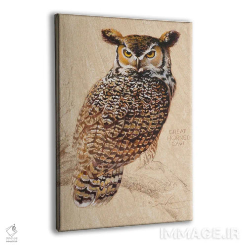 تابلو دکوراتیو جغد شاخدار بزرگ اثر ازرا تاکر - نمای پرسپکتیو محصول