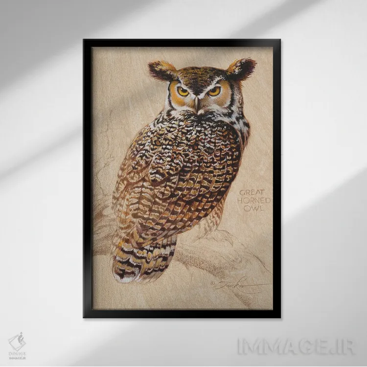 تابلو دکوراتیو جغد شاخدار بزرگ اثر ازرا تاکر - نمای قابدار مشکی