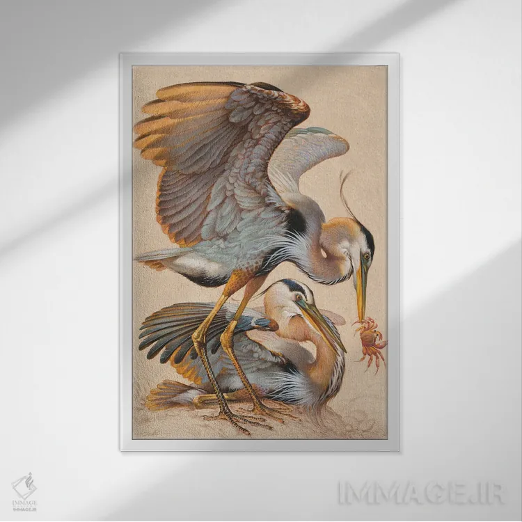 تابلو دکوراتیو خرچنگ گیری اثر ازرا تاکر - نمای قابدار سفید