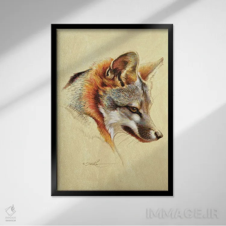 تابلو دکوراتیو پرتره روباه خاکستری اثر ازرا تاکر - نمای قابدار مشکی