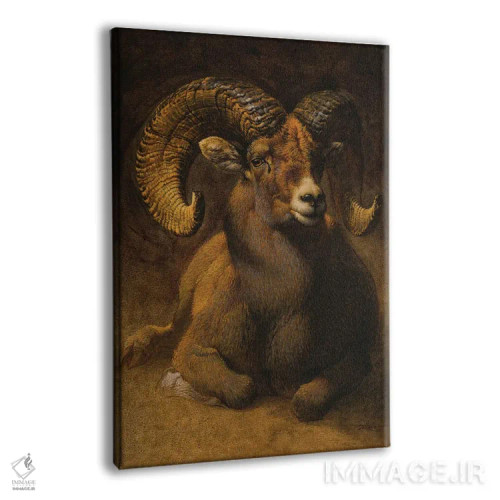 تابلو دکوراتیو قوچ کوهستان راکی اثر ازرا تاکر - نمای پرسپکتیو محصول