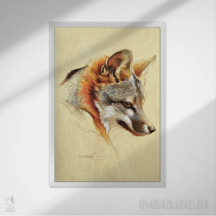تابلو دکوراتیو پرتره روباه خاکستری اثر ازرا تاکر - نمای قابدار سفید
