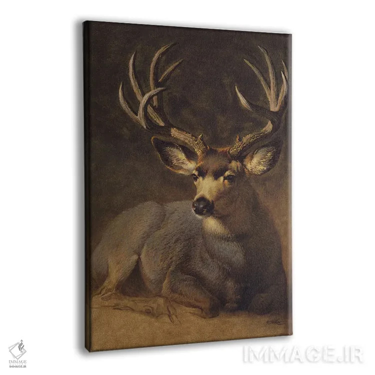 تابلو دکوراتیو آهو نر خاکستری زمستانی اثر ازرا تاکر - نمای پرسپکتیو محصول