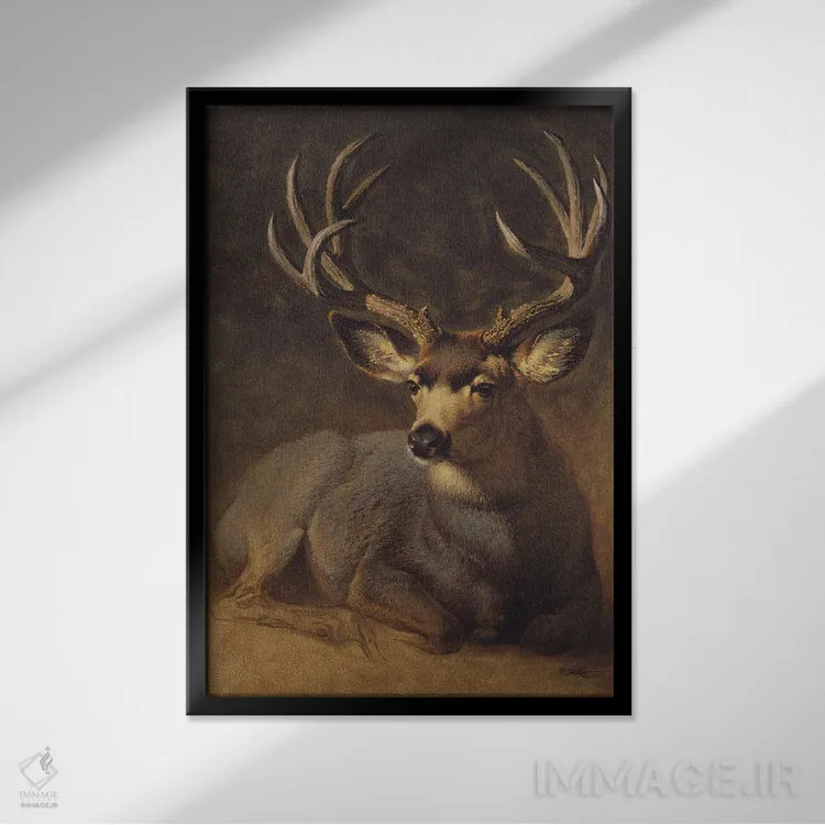 تابلو دکوراتیو آهو نر خاکستری زمستانی اثر ازرا تاکر - نمای قابدار مشکی