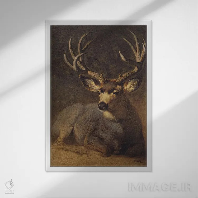 تابلو دکوراتیو آهو نر خاکستری زمستانی اثر ازرا تاکر - نمای قابدار سفید