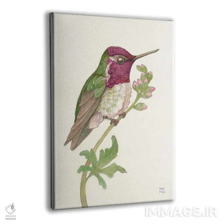 تابلو دکوراتیو مرغ مگس خوار آنا اثر مایت فلای آرت اند ایلاستریشن - نمای پرسپکتیو محصول