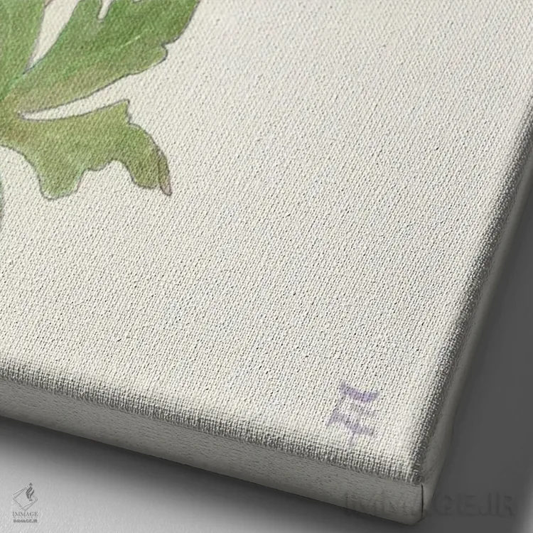 تابلو دکوراتیو مرغ مگس خوار آنا اثر مایت فلای آرت اند ایلاستریشن - نمای نزدیک بافت بوم