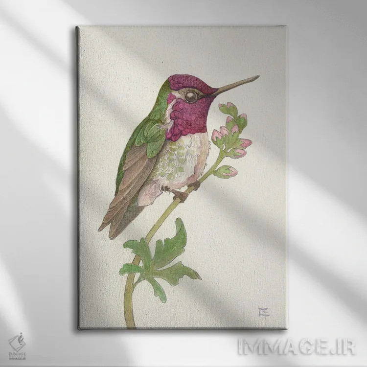 تابلو دکوراتیو مرغ مگس خوار آنا اثر مایت فلای آرت اند ایلاستریشن - نمای روبهرو روی دیوار