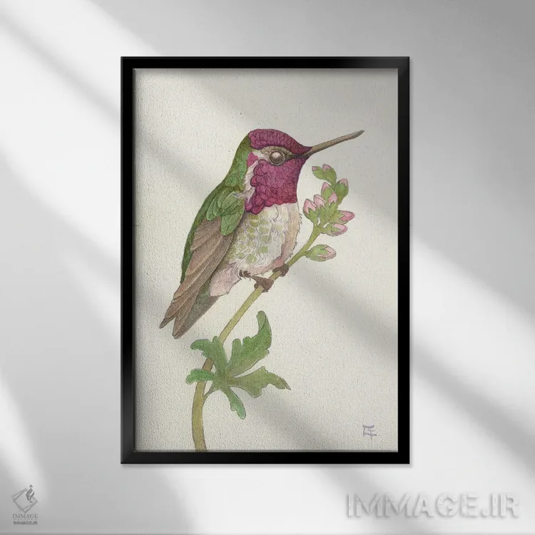 تابلو دکوراتیو مرغ مگس خوار آنا اثر مایت فلای آرت اند ایلاستریشن - نمای قابدار مشکی