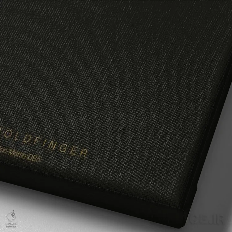 تابلو مینیمال گلدفینگر اثر فرد بیرچال - نمای نزدیک بافت بوم