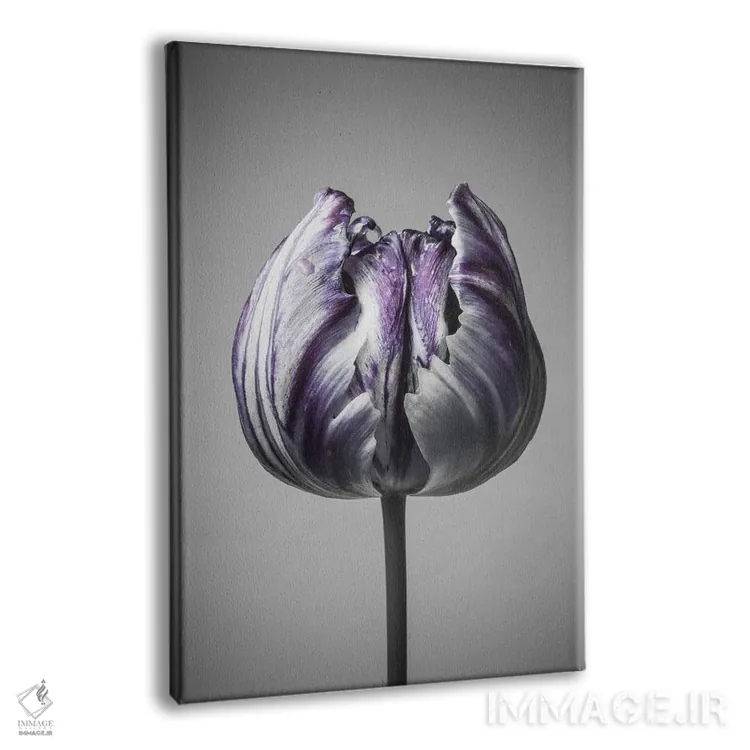 تابلو دکوراتیو باروک ۵ اثر دیزاین فابریکن - نمای پرسپکتیو محصول