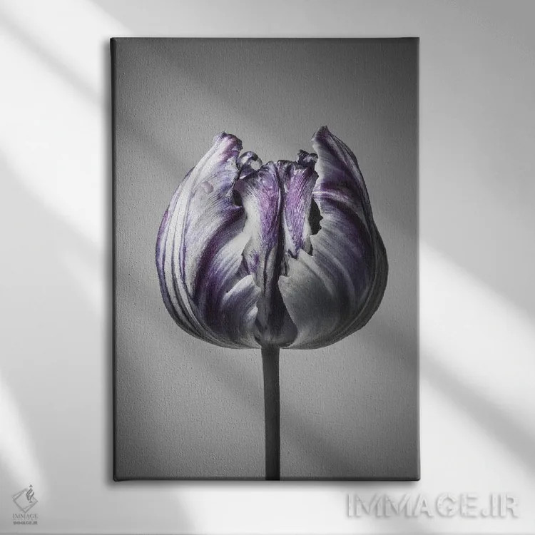 تابلو دکوراتیو باروک ۵ اثر دیزاین فابریکن - نمای روبهرو روی دیوار
