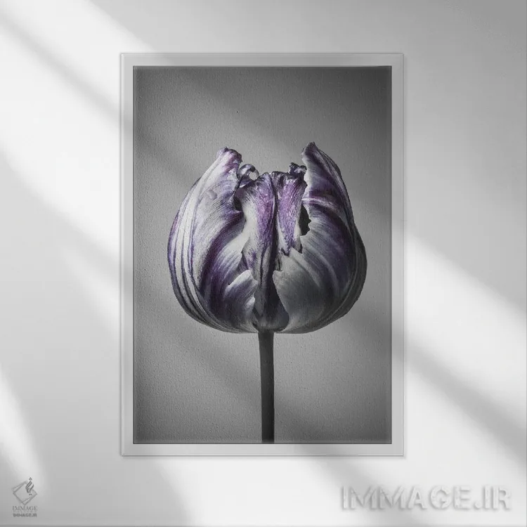 تابلو دکوراتیو باروک ۵ اثر دیزاین فابریکن - نمای قابدار سفید