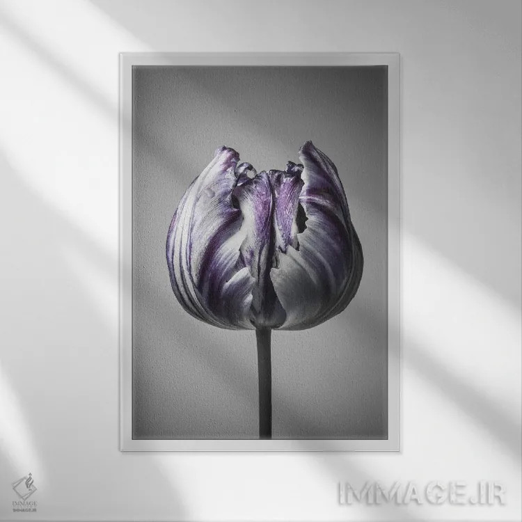 تابلو دکوراتیو باروک ۵ اثر دیزاین فابریکن - نمای قابدار سفید
