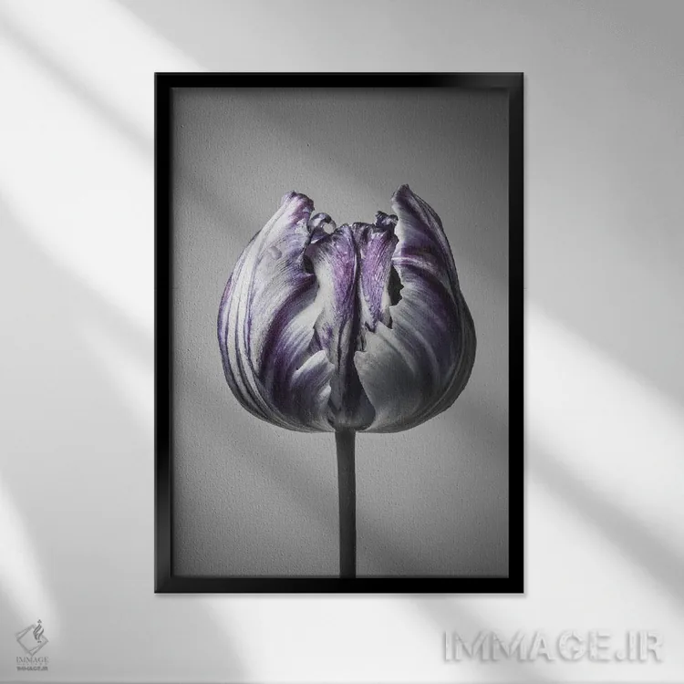 تابلو دکوراتیو باروک ۵ اثر دیزاین فابریکن - نمای قابدار مشکی