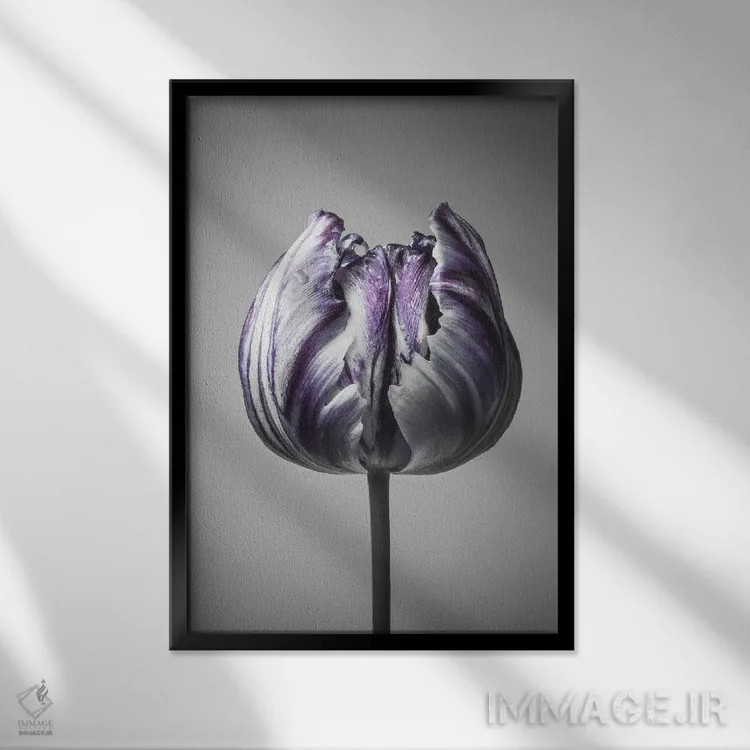 تابلو دکوراتیو باروک ۵ اثر دیزاین فابریکن - نمای قابدار مشکی