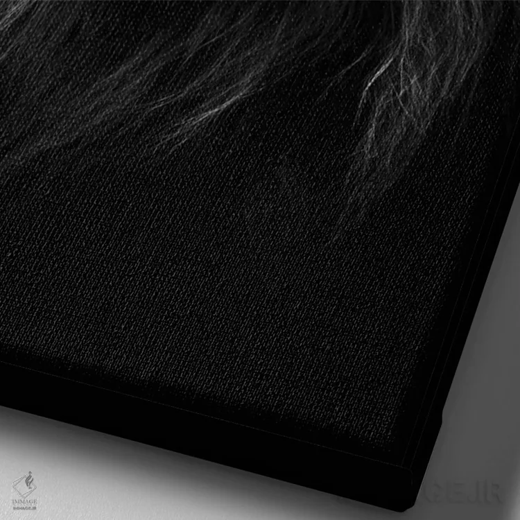 تابلو دکوراتیو شاه شاهان اثر دیزاین فابریکن - نمای نزدیک بافت بوم