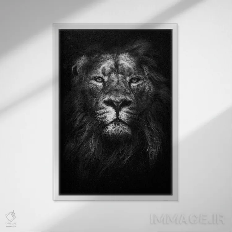 تابلو دکوراتیو شاه شاهان اثر دیزاین فابریکن - نمای قابدار سفید