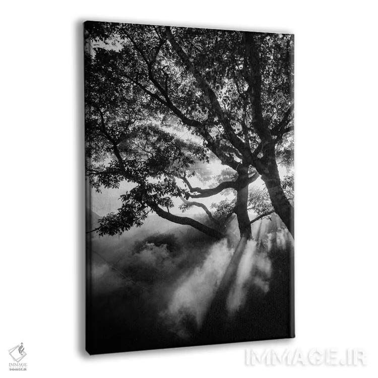 تابلو دکوراتیو سیاه مه آلود اثر دیزاین فابریکن - نمای پرسپکتیو محصول