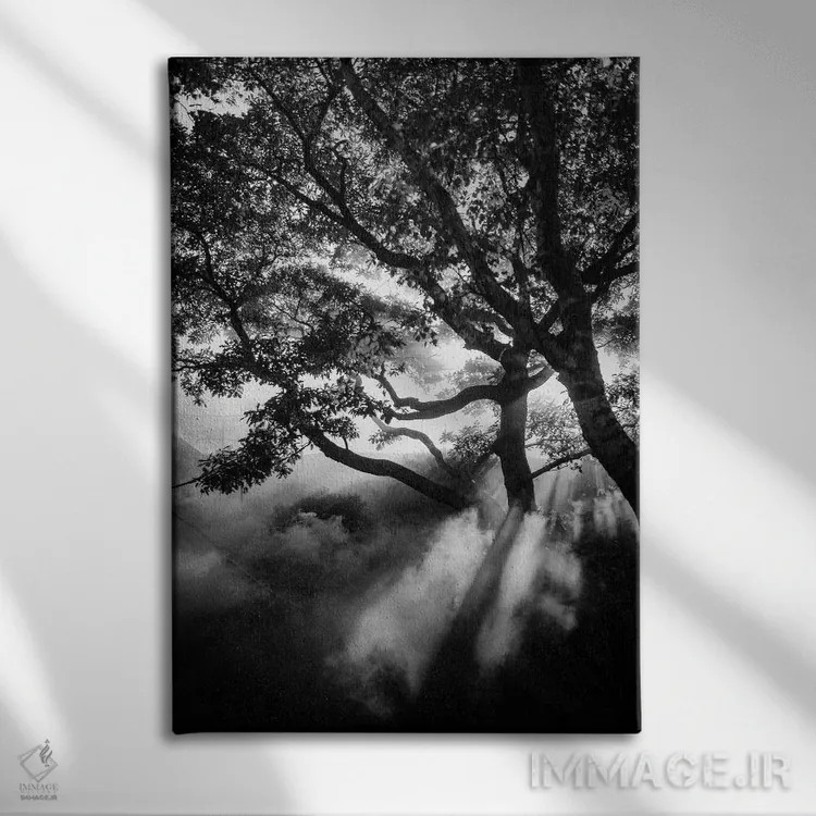 تابلو دکوراتیو سیاه مه آلود اثر دیزاین فابریکن - نمای روبهرو روی دیوار