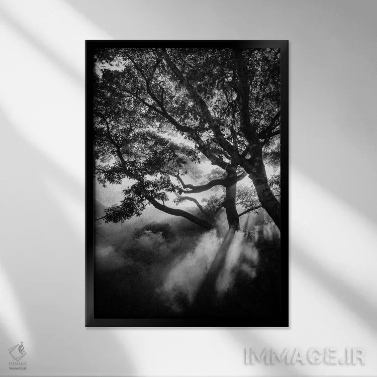 تابلو دکوراتیو سیاه مه آلود اثر دیزاین فابریکن - نمای قابدار مشکی