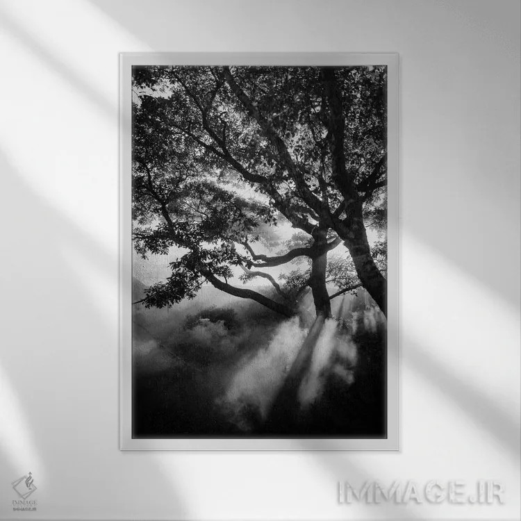 تابلو دکوراتیو سیاه مه آلود اثر دیزاین فابریکن - نمای قابدار سفید