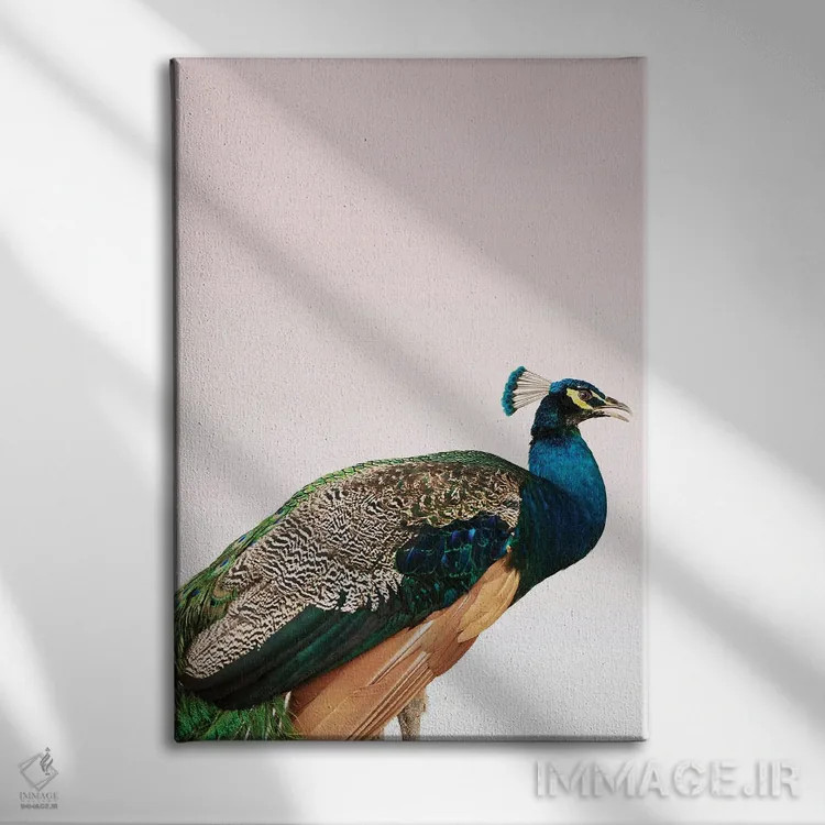 تابلو دکوراتیو طاووس بر زمینه صورتی اثر دیزاین فابریکن - نمای روبهرو روی دیوار
