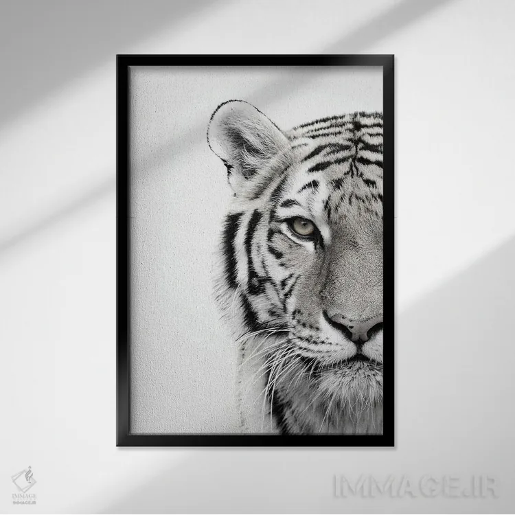 تابلو دکوراتیو ببر سفید اثر دیزاین فابریکن - نمای قابدار مشکی