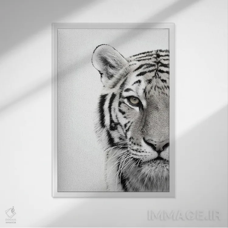 تابلو دکوراتیو ببر سفید اثر دیزاین فابریکن - نمای قابدار سفید
