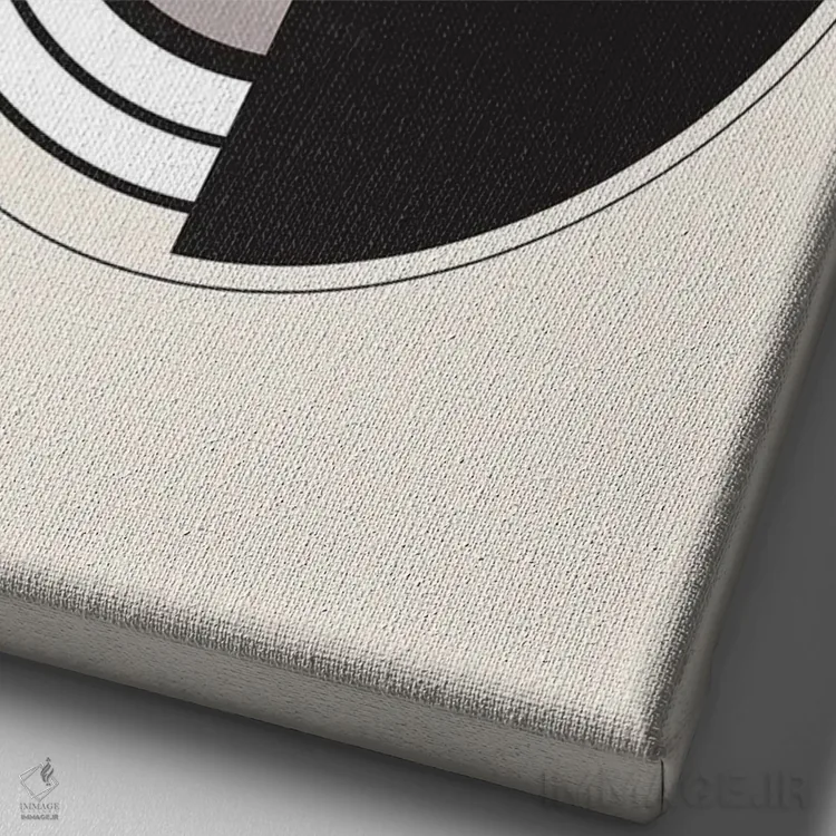 تابلو مدرن باوهاوس ۲ اثر دیزاین فابریکن - نمای نزدیک بافت بوم