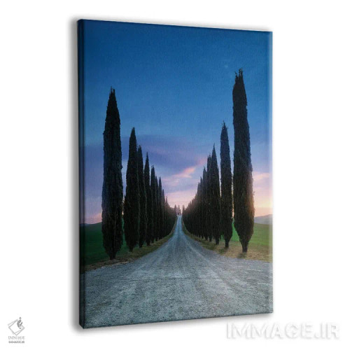 تابلو دکوراتیو مسیر سروها اثر فابیو آنتنور - نمای پرسپکتیو محصول