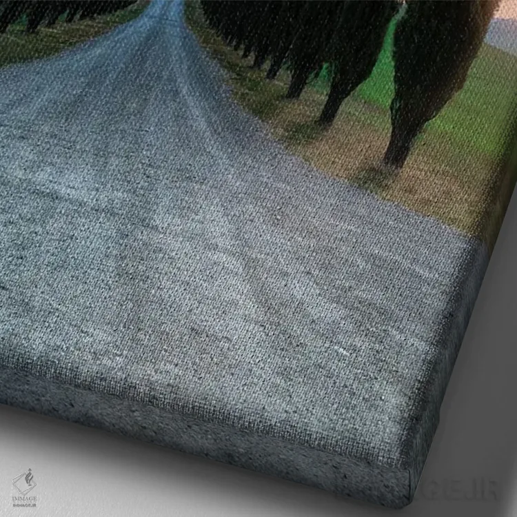 تابلو دکوراتیو مسیر سروها اثر فابیو آنتنور - نمای نزدیک بافت بوم