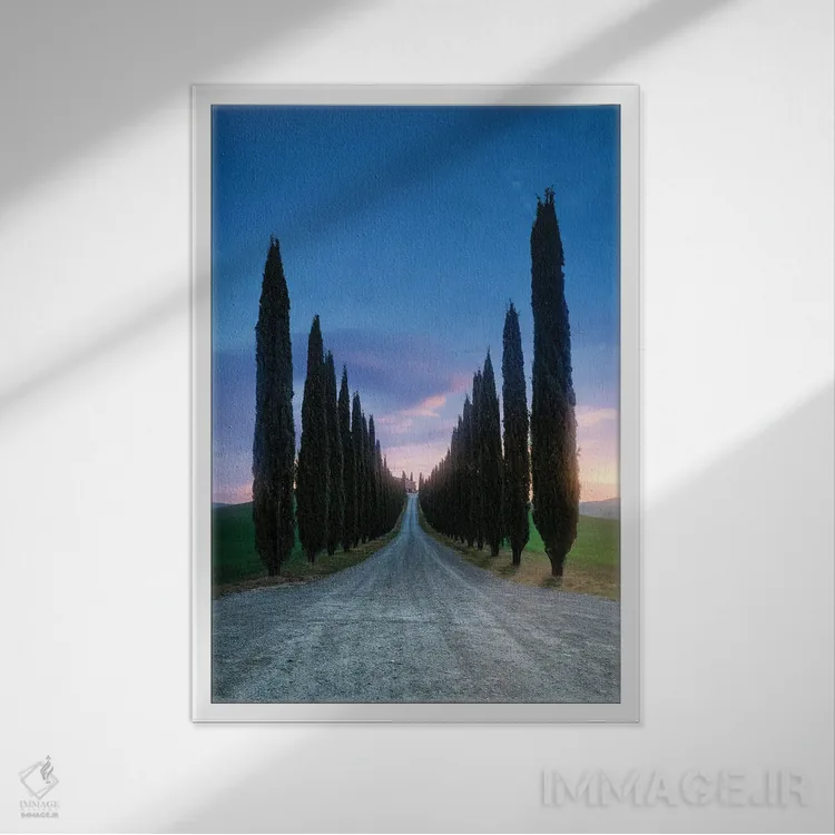 تابلو دکوراتیو مسیر سروها اثر فابیو آنتنور - نمای قابدار سفید