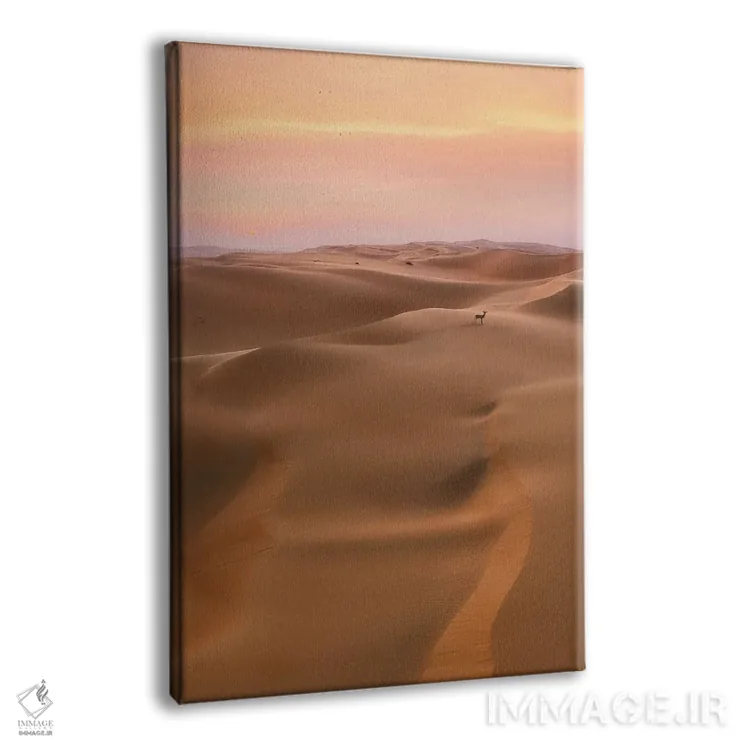 تابلو دکوراتیو زندگی کویری اثر فابیو آنتنور - نمای پرسپکتیو محصول