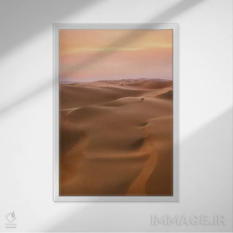 تابلو دکوراتیو زندگی کویری اثر فابیو آنتنور - نمای قابدار سفید