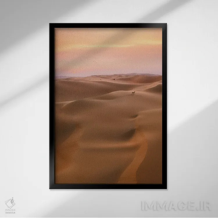 تابلو دکوراتیو زندگی کویری اثر فابیو آنتنور - نمای قابدار مشکی