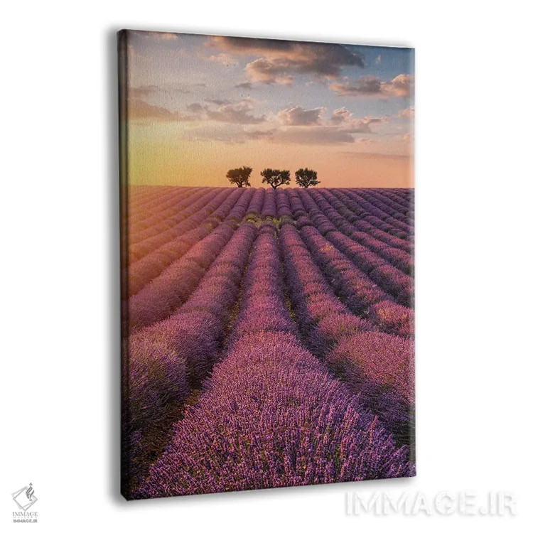 تابلو دکوراتیو والنسول اثر فابیو آنتنور - نمای پرسپکتیو محصول