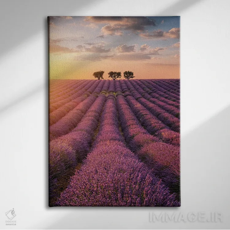 تابلو دکوراتیو والنسول اثر فابیو آنتنور - نمای روبهرو روی دیوار