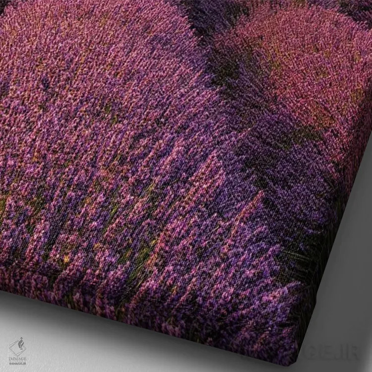 تابلو دکوراتیو والنسول اثر فابیو آنتنور - نمای نزدیک بافت بوم