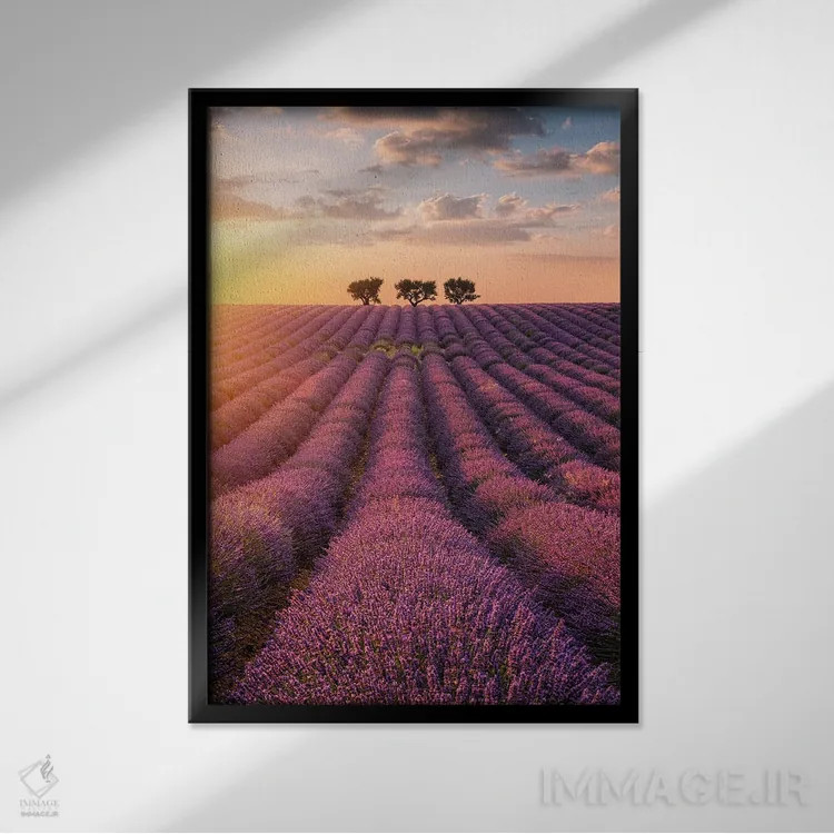 تابلو دکوراتیو والنسول اثر فابیو آنتنور - نمای قابدار مشکی