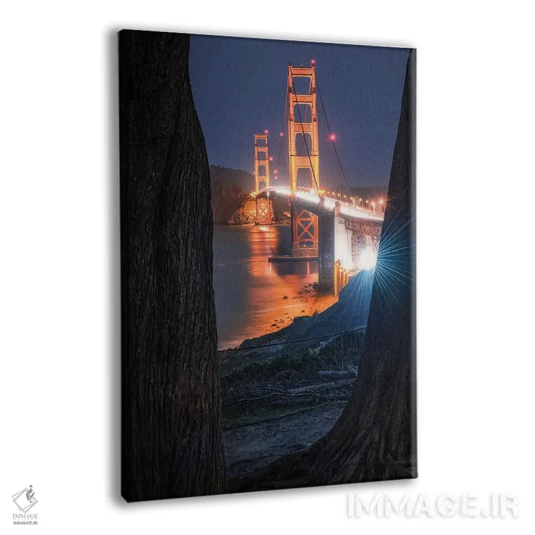 تابلو دکوراتیو پل قاب شده اثر فابیو آنتنور - نمای پرسپکتیو محصول