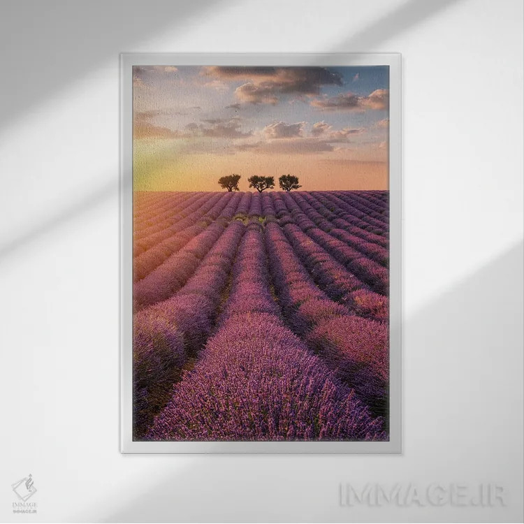 تابلو دکوراتیو والنسول اثر فابیو آنتنور - نمای قابدار سفید