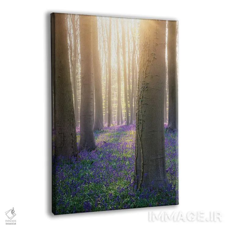 تابلو دکوراتیو هالر بس اثر فابیو آنتنور - نمای پرسپکتیو محصول