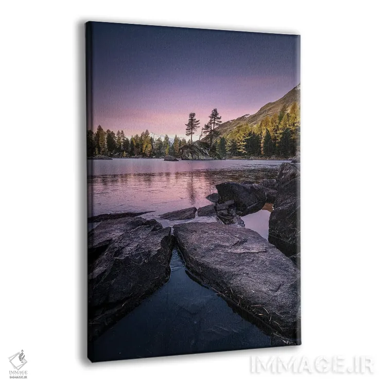 تابلو دکوراتیو یخ زده اثر فابیو آنتنور - نمای پرسپکتیو محصول